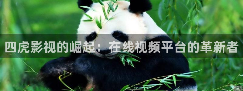 桃花岛影院在线：四虎影视的崛起：在线视频平台的革新者
